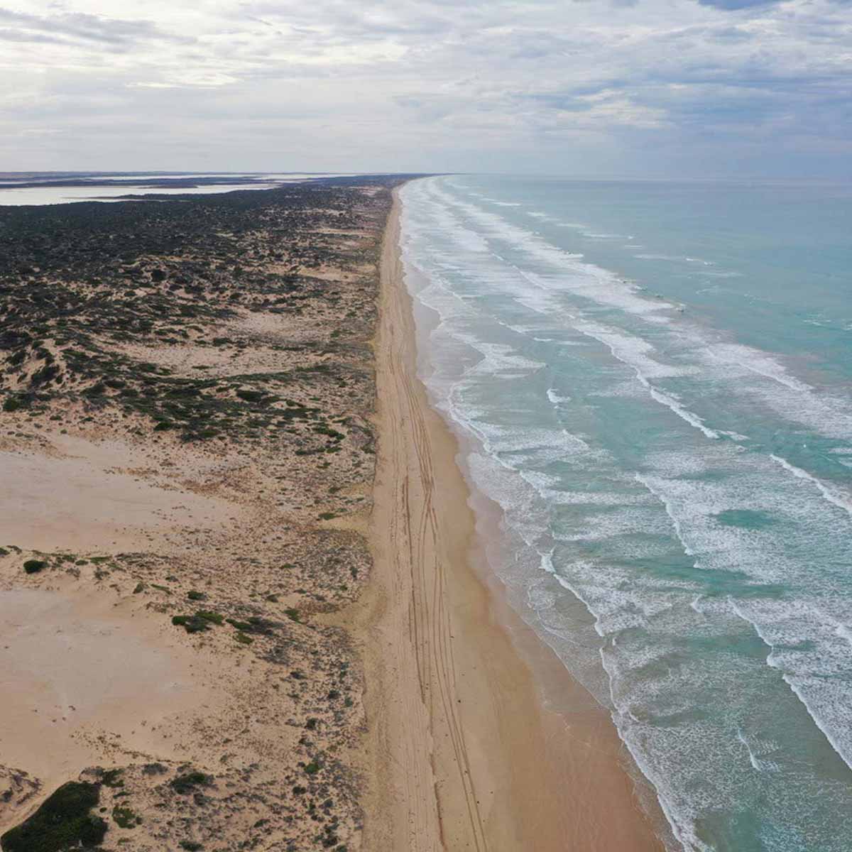 Aerial view of the coorong beach with sand and ocean waves.