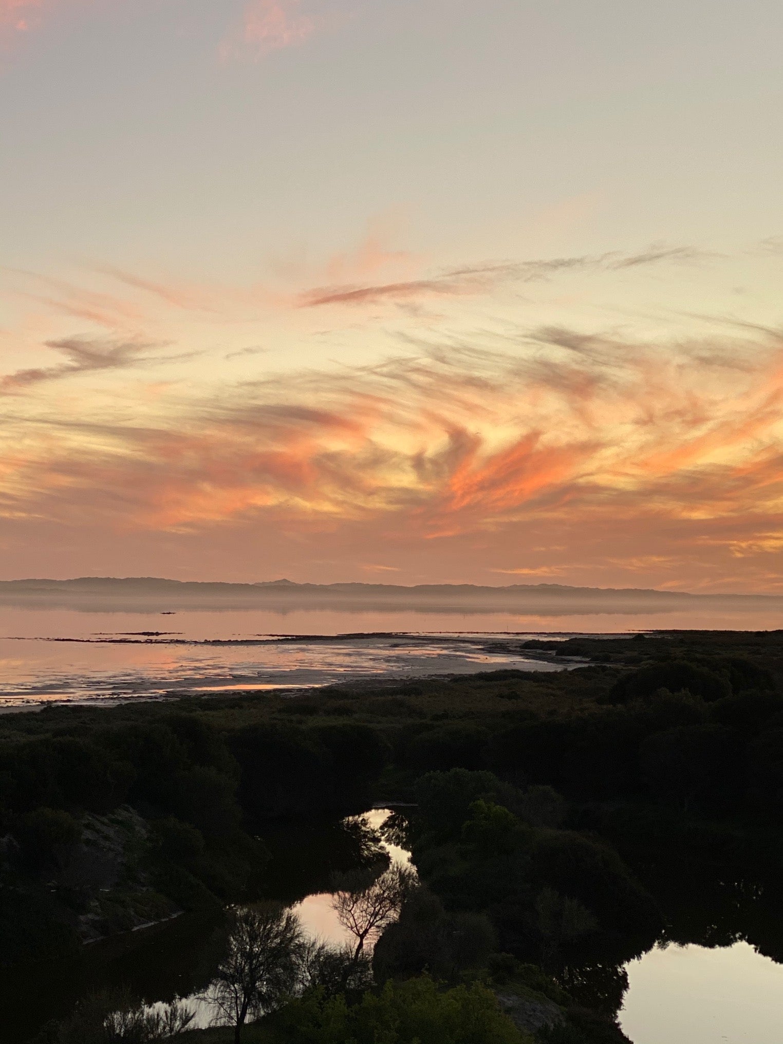 Sunset over a coastal landscape with dark silhouettes of trees and water.