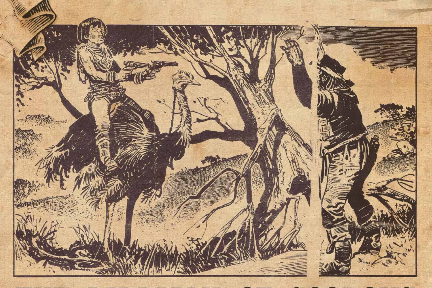 Coorong Characters