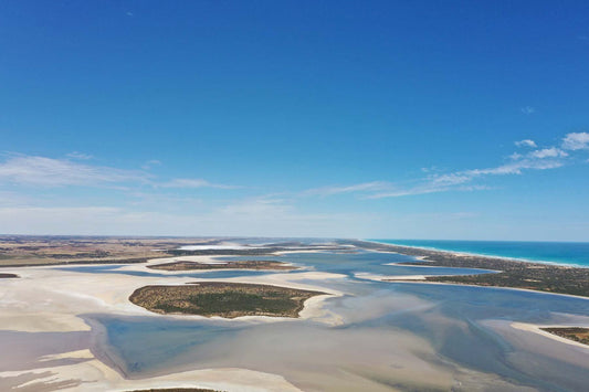 The Coorong 101