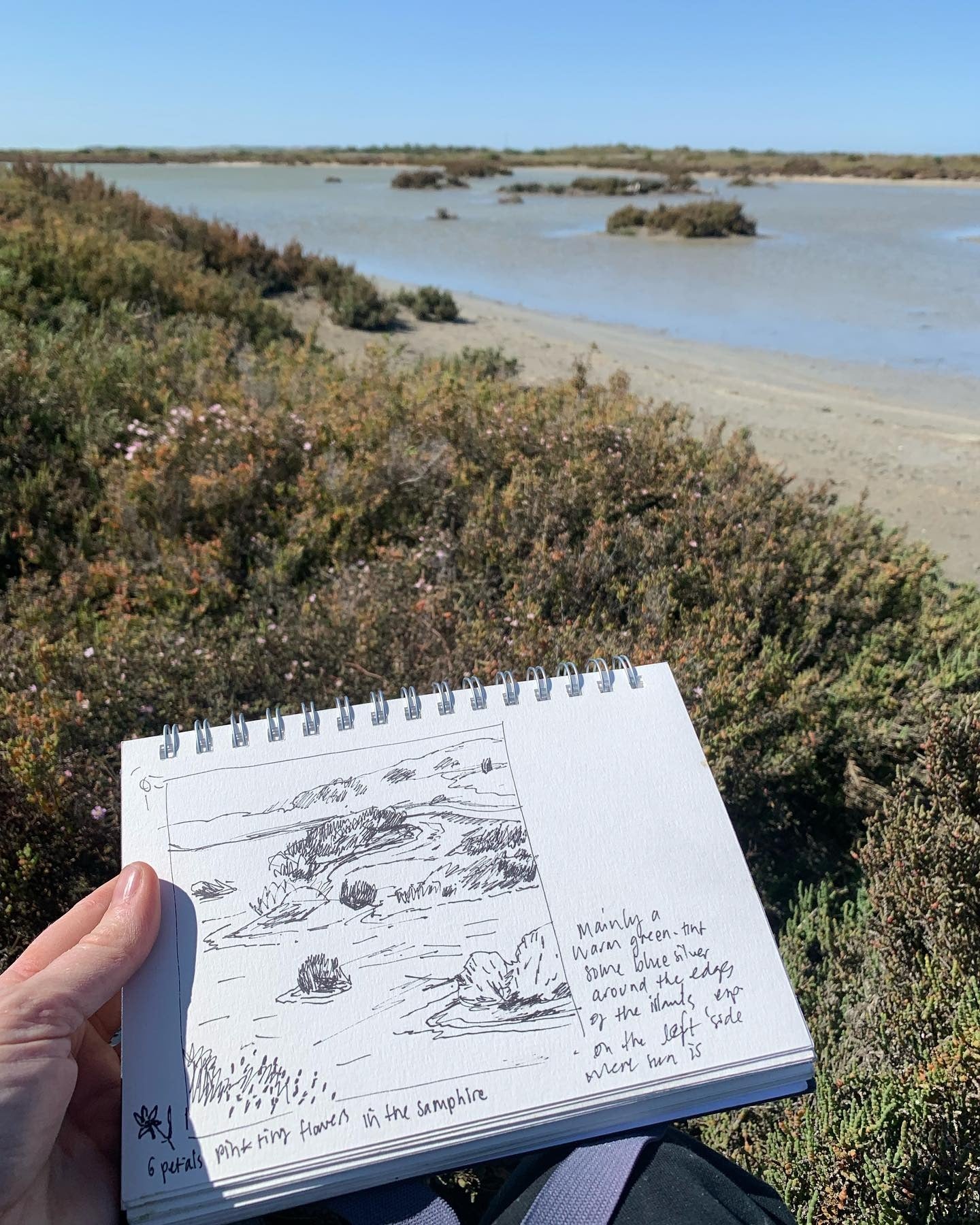 Hand holding a sketchbook with a landscape drawing outdoors by a water body. At CoorongLife Artist in Residency image 
